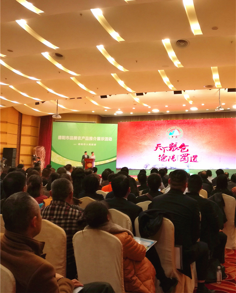 2017年12月22日 杰阳农产品贸易有限公司正式运营德阳市农产品区域公共品牌“蜀道”3_副本_副本1 2017年12月22日 杰阳农产品贸易有限公司正式运营德阳市农产品区域公共品牌“蜀道”3_副本_副本1